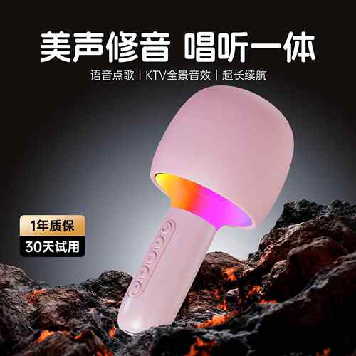 车载麦克风k歌汽车通用无线话筒理想l6/l7/l8/l9/one专用蓝牙ktv