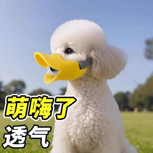 狗狗嘴套防咬防乱吃小型中型犬宠物口罩小狗止吠器用品防叫防扰民