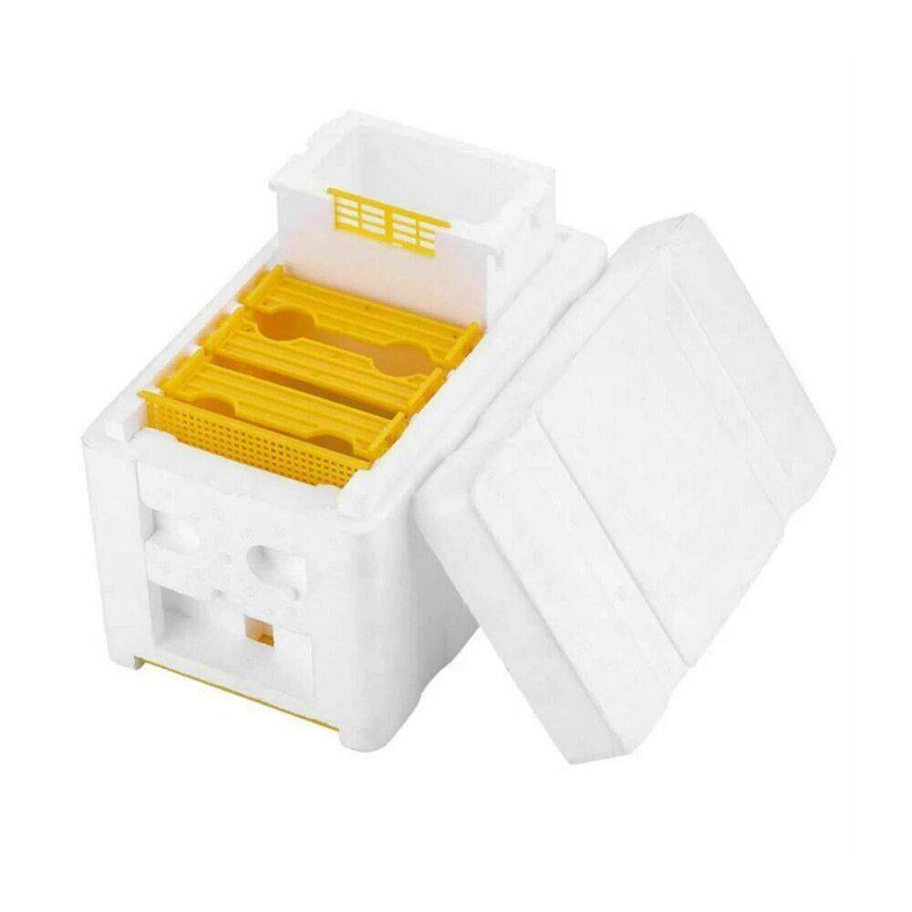 养蜂工具 蜜蜂泡沫交尾箱 喂水器固定型蜂箱蜂王培育蜂箱巢框巢础