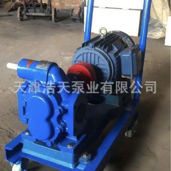 小车齿轮泵TDYD柴油机油液压油沥青胶水稠油油漆齿轮泵
