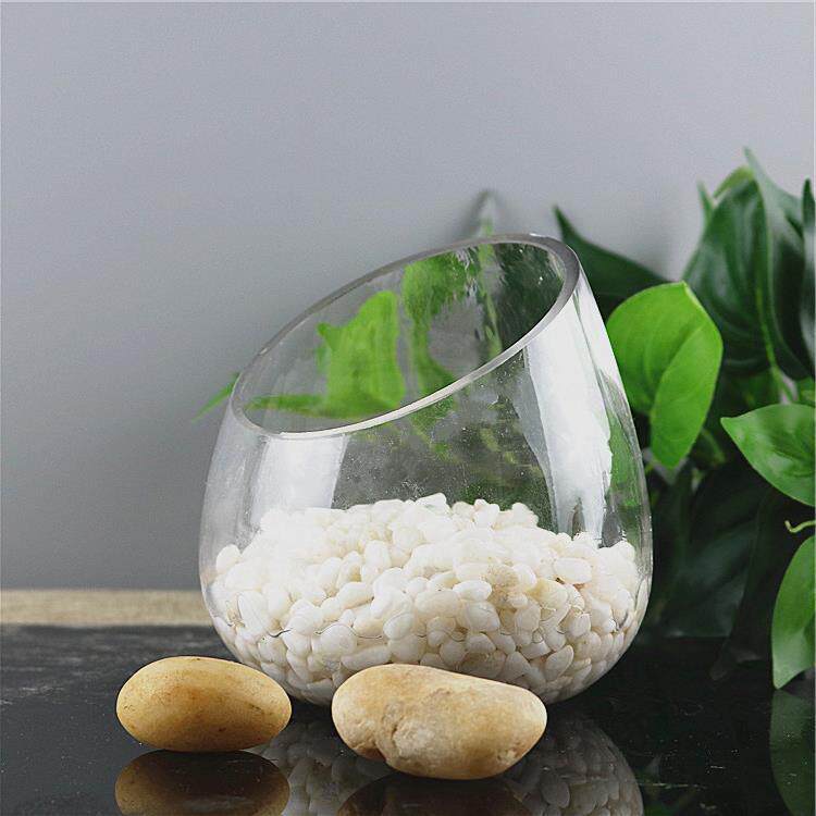 斜口透明创意水培玻璃花瓶微景观生态瓶绿萝水养植物器皿花盆摆件