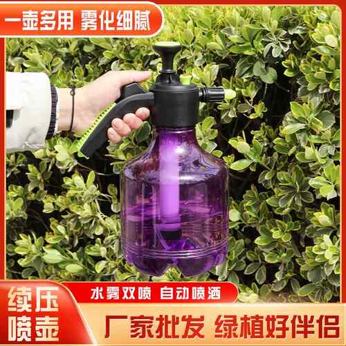 现货L浇花壶自动泄气阀喷雾瓶园艺家用气压式高压喷壶消毒喷雾器