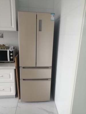 新飞BCD-310怎么样?真实使用心得,缺点大吐槽