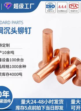 紫铜沉头铆钉实心全铜柳钉嵌入铆接铭牌钉GB869国标现货
