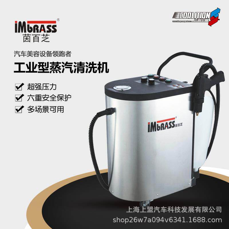 茵百芝高压蒸汽型节水洗车机双管热水干式清洗地毯发动机汽车美容