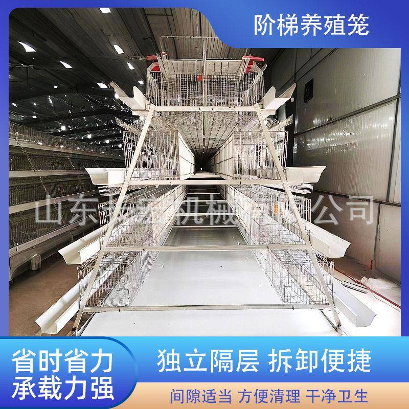 肉鸡A型笼蛋鸡笼加粗鸽子笼阶梯蛋鸡笼养殖场层叠肉鸡H型笼鹌鹑笼