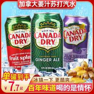 包邮 Ale 加拿大Canada Ginger 姜汁汽水干姜水生姜水8罐饮料 dry