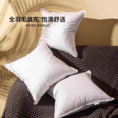 沙发pillow腰靠枕床头羽绒定做定制抱枕头垫靠背腰枕芯内胆芯靠垫