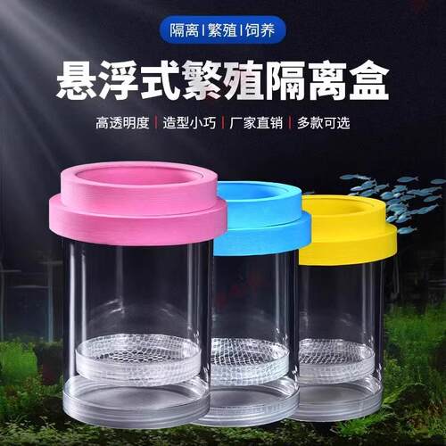 悬浮鱼缸孵化孔雀繁殖隔离孵化器