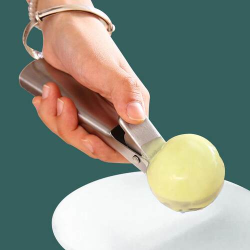 Stainless Steel Ice Cream Scoop, Resilient Ice Cream Spoon,