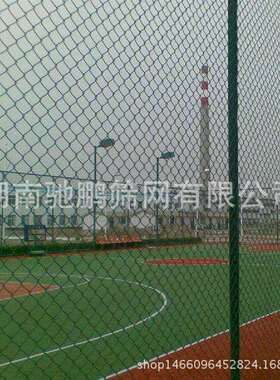 双边丝球场护栏网不锈钢球场护栏网绿色球场护栏网