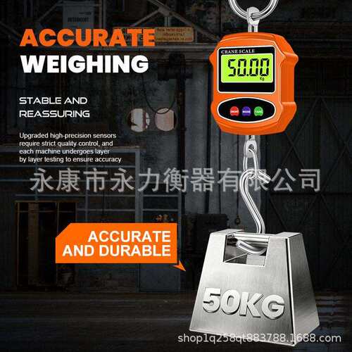 新0你款30KG电OCS-L3子吊秤跨境便携迷手提秤电子称秤钩称行李快