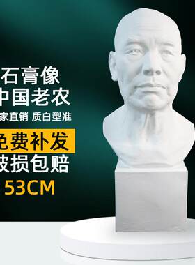 石膏像中国老农美术教具石膏头像画室常用石膏塑石膏头像模型