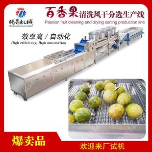 百香果清洗风干分选生产线腾昇食品机械百香果清洗百香果加工