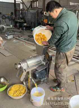 桑葚破碎汁橘 1吨柑DTZ大型挤汁榨机 金桔果汁饮机料机