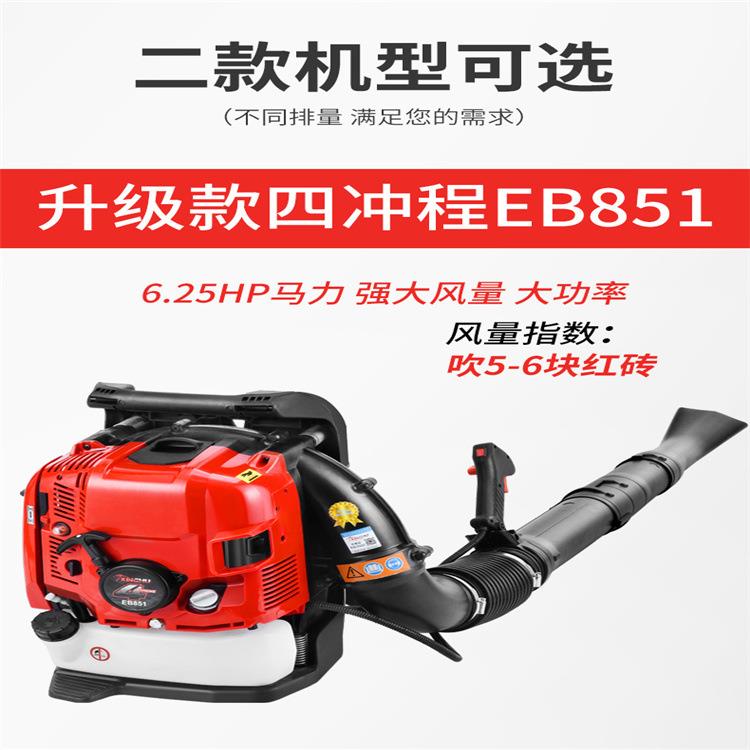 背负式吹风机四程吹雪机园林树叶吹冲扫功率大森林风力灭火机
