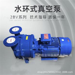 真空泵天宇淄博负压 真空泵电动直联式 2BV水环式 真空泵SKA水环式