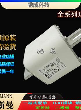 巴斯曼170M6143 170M6144 170M6145 销售供应零售 低压保险丝