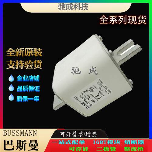 巴斯曼170M6143 170M6144 170M6145 销售供应零售 低压保险丝