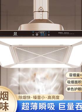 棋牌室吸烟灯直排吸烟神器麻将机空气净化器排烟机麻将灯升降吊灯