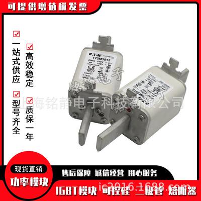 170M2673 170M2674 170M2675 170M2676巴斯曼170M2677熔断器/底座
