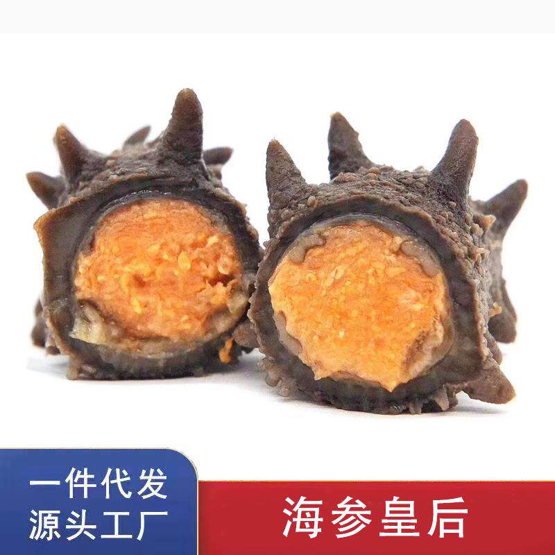 辽参海参皇后 满籽参母 大连即食海参带籽海参花参母刺参500g