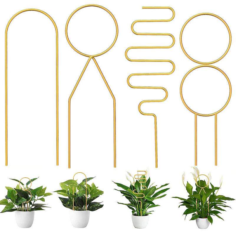 亚马逊 植物格架 爬藤架铁环花支柱盆栽固藤蔓爬藤架园艺花盆支架