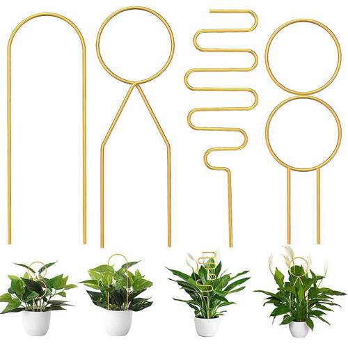 亚马逊 植物格架 爬藤架铁环花支柱盆栽固藤蔓爬藤架园艺花盆支架