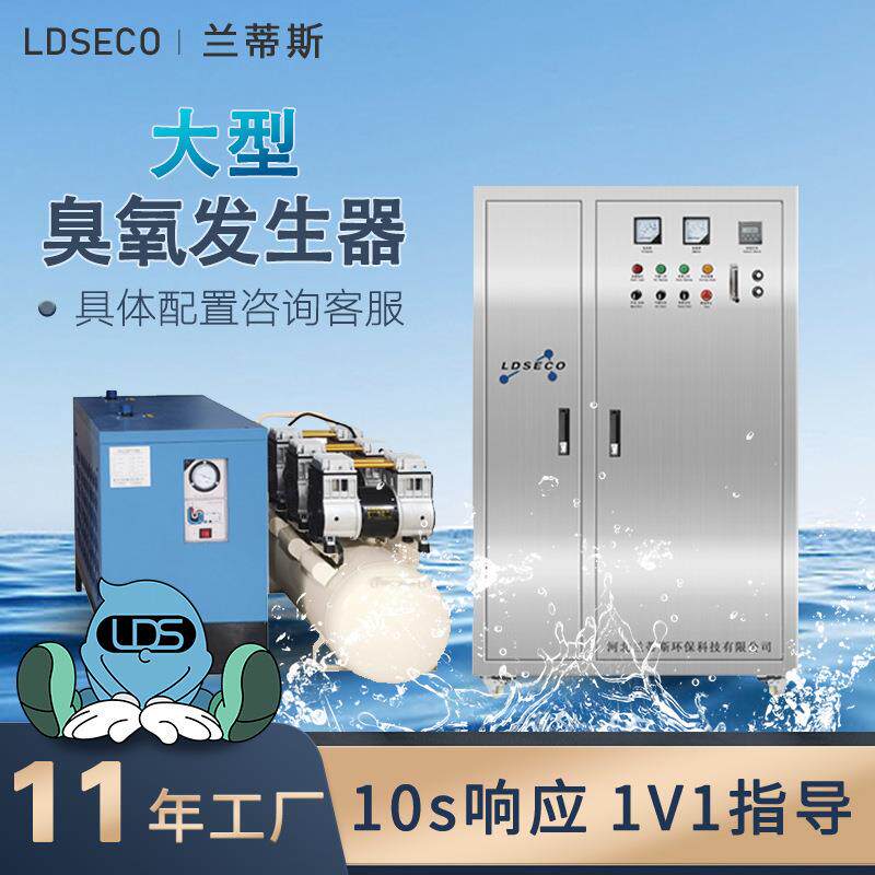 兰蒂斯水处理臭氧机 大型饮用水除臭脱色空气源200g臭氧发生器