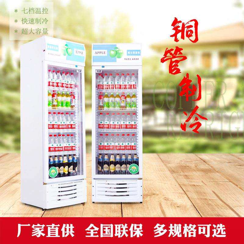 美星单门双门立式啤酒展示柜商用冷柜小型饮料柜饮品冷藏柜冰箱