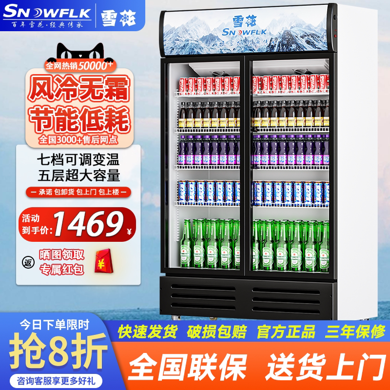 雪花冰柜冷藏展示柜商用大容量冷柜啤酒饮料冰柜保鲜柜双门酒水柜