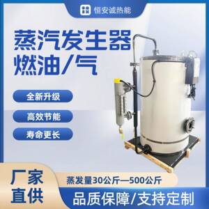 蒸汽发生器新典范高效转化自动运行多重防护工业商用蒸汽机低氮