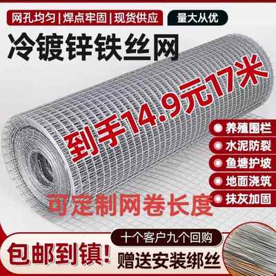 防锈钢丝网围栏防鼠网养殖网铁丝网防裂抹墙鸡笼鸽子笼小网格