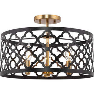 爆款 卧室庭院餐厅酒吧农舍过道走廊铁艺灯罩110v吊灯吸顶灯