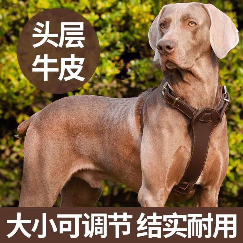 牵引绳大型犬宠物狗狗头牛皮背心
