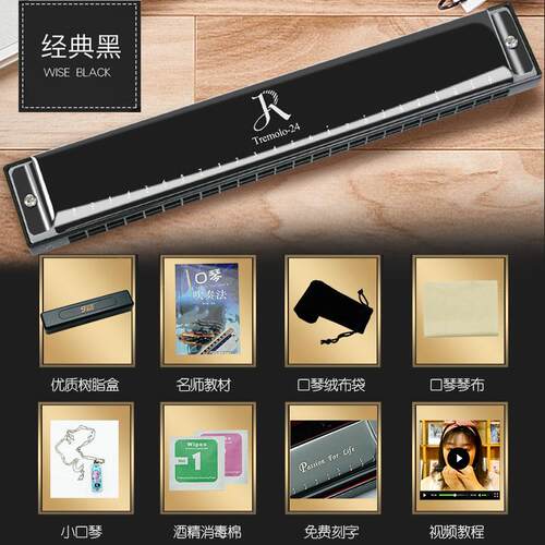 高档嘉德瑞口琴专正品初学者门儿童学生用成入人业演奏级C24孔复