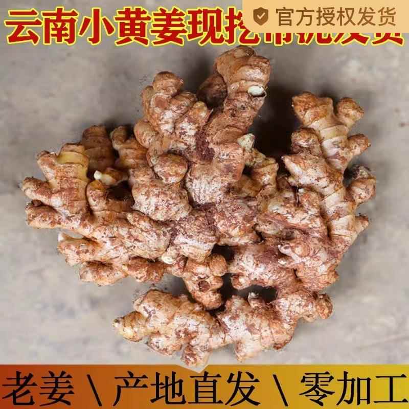 新鲜现挖正宗云南小黄姜老姜大姜老生姜黄姜子姜带泥9斤包邮