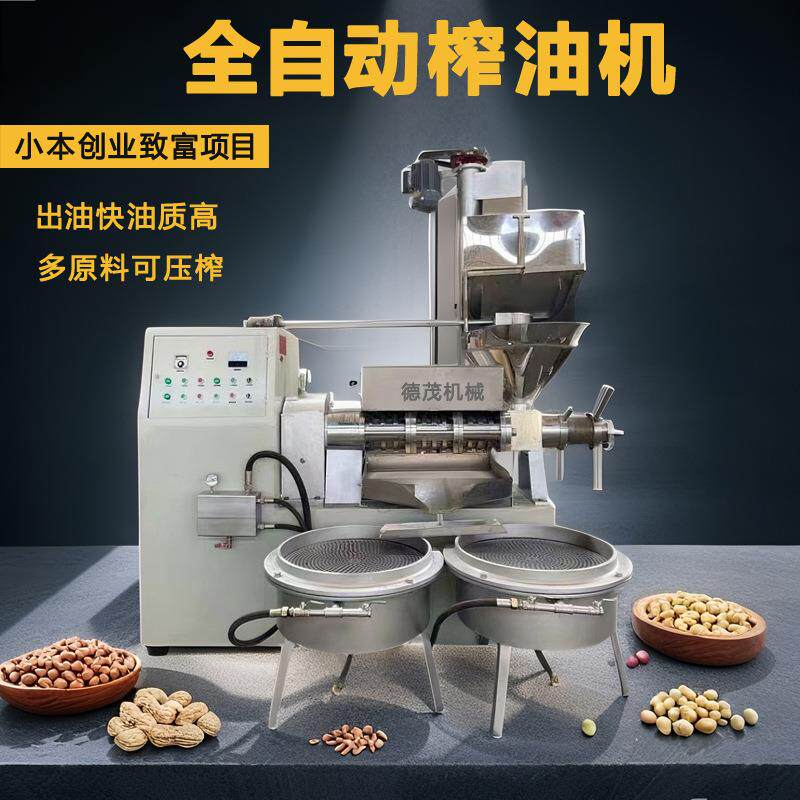 全自动大型榨油机家用小型花生菜籽压榨机不锈钢商用榨油机器设备