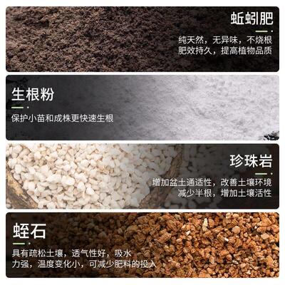 Potting soil organic soil, succulent soil, vegetable soil, s