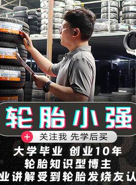 552轮胎2150/50R17 91V 安乘 原配标标48志致308S 21550r17