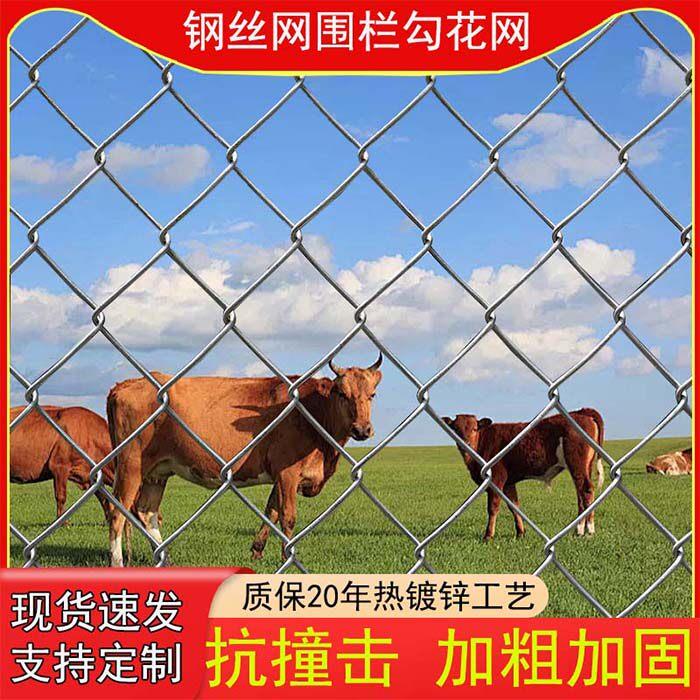 铁丝网围栏镀锌养殖围栏网隔离防护果园围网钢丝网护栏养鸡勾花网