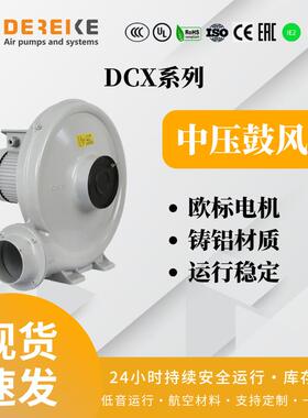 DCX75A系列单相三相中压鼓风机吹吸两用水产养殖污水处理