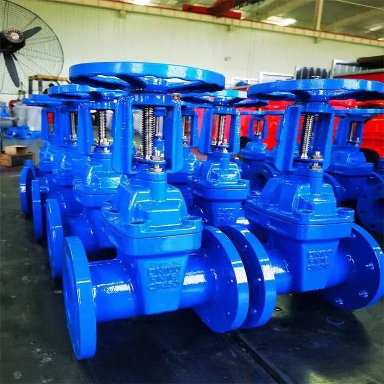 天津阀门销售Z41X-16Q DN80法兰弹性座封闸阀软密封自来水阀图片