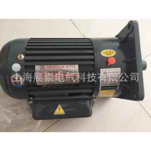 YSO.2KW-4P MOTOR CO.,LTD减速电机 马达 YS0.2KW-4P ZF2