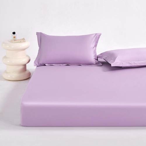 新款纯色棉长绒棉床FNZ笠三套单件床套贡缎店酒件民宿轻奢白床单