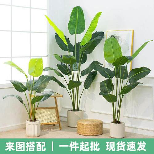 高端轻奢室内仿真绿植客厅大型落地盆栽摆件直播间装饰植物仿生树