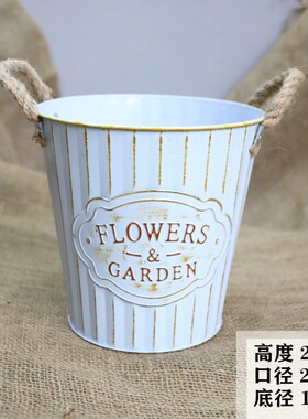 鲜花鲜花养花干花花盆装饰摆件