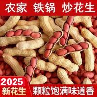 新正宗东北四粒红红皮带壳花生农家自产红皮花生原味炒熟花生炒货