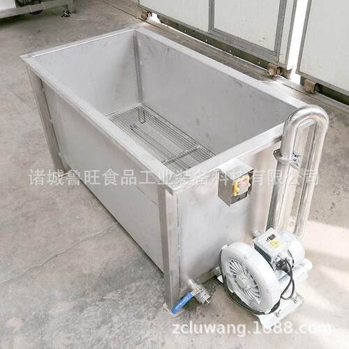 芹菜气泡清洗槽果蔬深加工气泡冲浪洗果机压气泡净菜清洗机
