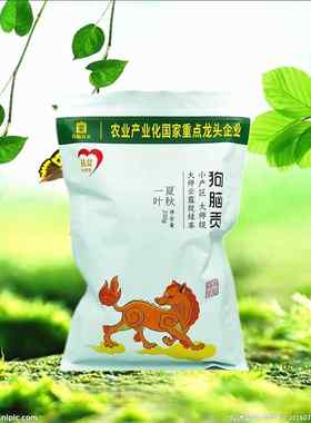 湖南郴州特产狗脑贡绿茶袋装茶叶2024新茶资兴狗脑贡茶夏秋一叶级